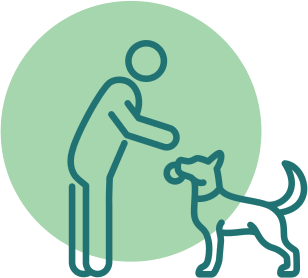 Ikona socializace